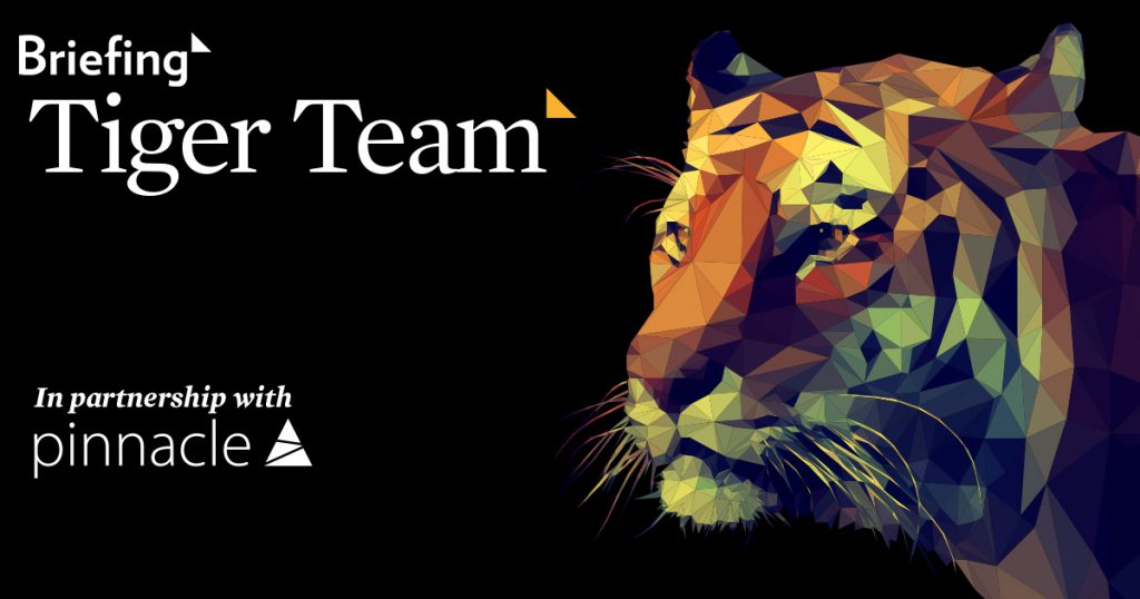 What is Tiger Team? - Briefing